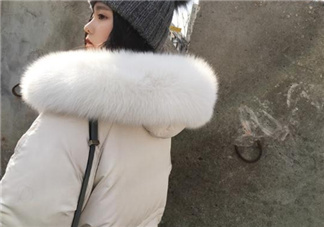 狐貍毛領會掉毛嗎？狐貍毛領掉毛怎么辦？