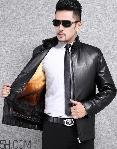 黃金貂內膽真假怎么看？黃金貂內膽真假界別