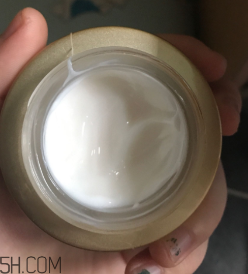 詩婷露雅蝸牛面霜適合秋冬嗎？適合油皮嗎？
