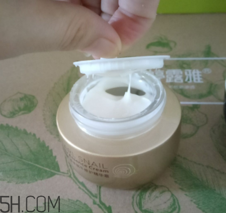 詩婷露雅蝸牛面霜適合秋冬嗎？適合油皮嗎？