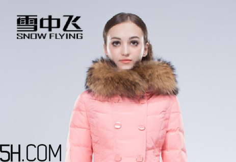 最貴的羽絨服什么價格？羽絨服什么牌子的好？