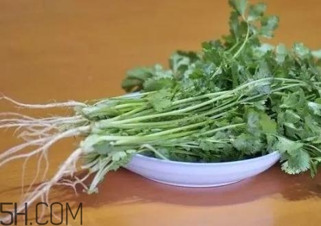 香菜根煮水能減肥嗎？香菜根煮水能天天喝嗎？