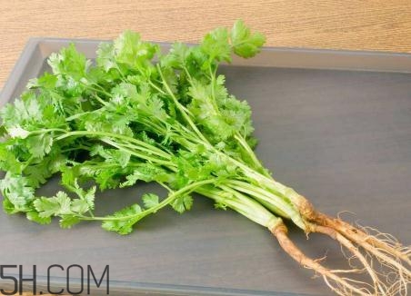 香菜根煮水能美白嗎？香菜根煮水能祛斑嗎？