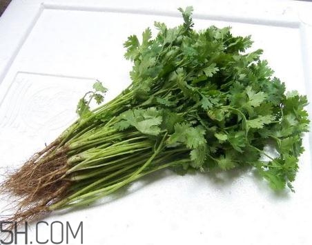 香菜根煮水能美白嗎？香菜根煮水能祛斑嗎？