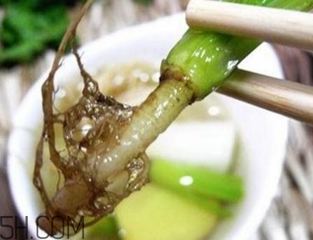香菜根煮水能美白嗎？香菜根煮水能祛斑嗎？