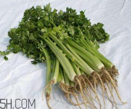 香菜根煮水能退燒嗎？香菜根煮水能治咳嗽嗎？