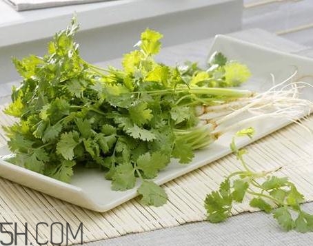 香菜根煮水能治濕疹嗎？香菜根煮水孕婦能喝嗎？
