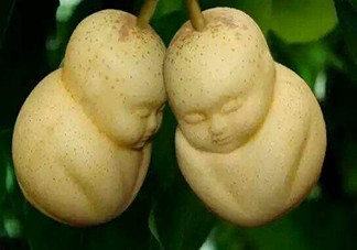 女人吃人參果有哪些好處？人參果的營養價值是什么？