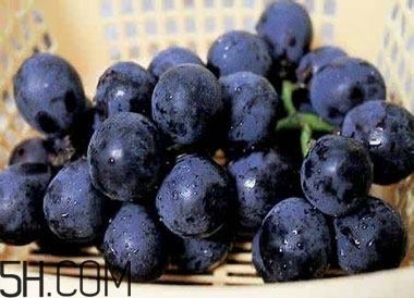 吃黑加侖對眼睛有什么好處？吃黑加侖要注意什么？