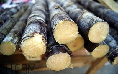 甘蔗和橙子能一起吃嗎？吃完甘蔗可以吃橙子嗎？