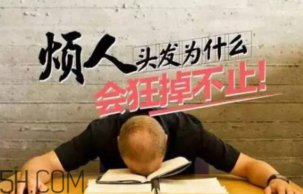 掉發(fā)年輕化怎么治？含硅洗發(fā)水是元兇？
