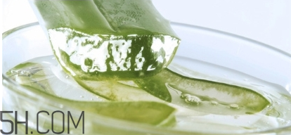 擠痘痘后可以涂蘆薈膠嗎？涂抹維生素e和蘆薈膠的作用
