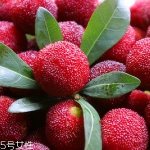 新鮮楊梅如何做酸梅湯？楊梅湯兩做法