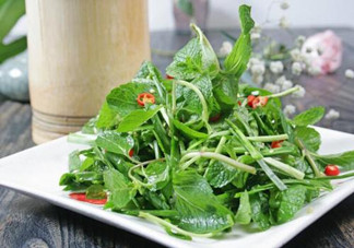 哪些中草藥可以當菜吃？最常見的是這三種