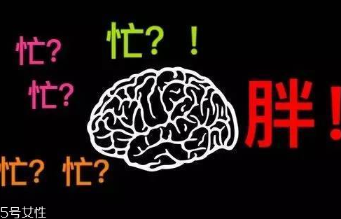 久坐不動(dòng)上班族如何減肥？越努力工作的人越容易發(fā)胖