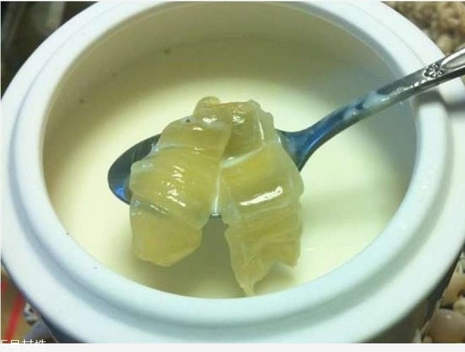 花膠燉牛奶的功效與作用？保養(yǎng)皮膚效果好