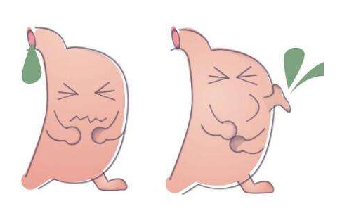 嘔酸水怎么辦？多補(bǔ)充堿性食物