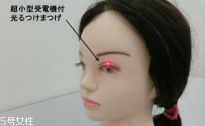 發光假睫毛多少錢？一閃一閃亮晶晶