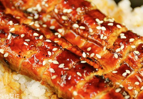 鰻魚什么季節吃 夏季正值吃鰻魚的季節