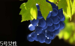 葡萄籽補劑要不要買？不如早睡早起