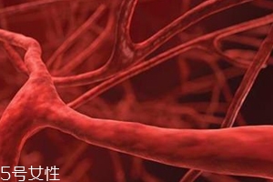 血管塞有什么征兆？這4個現象要警惕