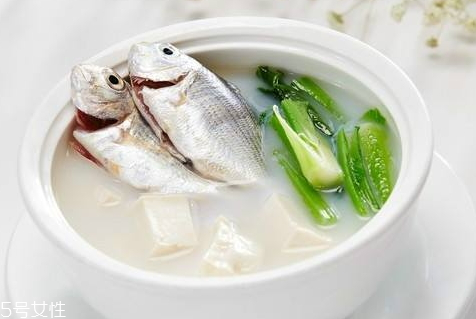 魚湯為什么結(jié)凍 低溫導致的結(jié)凍