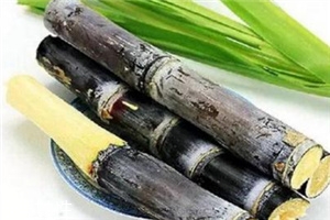 冬季吃甘蔗有什么好處？它被稱為冬季人參