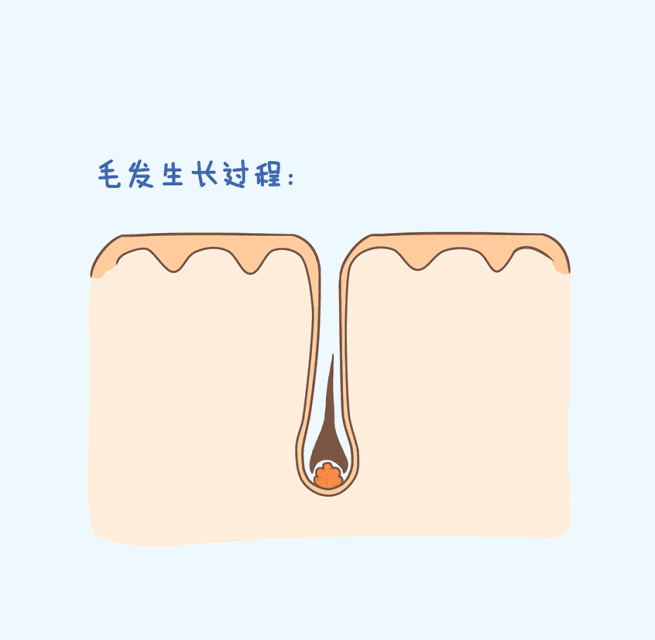 生發精華什么牌子好 5款最有效的生發精華