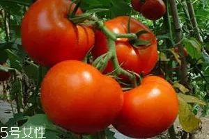 空腹不能吃什么？這4種最好不要吃