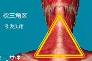 人體黃金三角區有哪些？養好了百病不擾