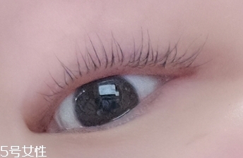 ettusais艾杜莎睫毛膏打底膏怎么用？睫毛一天不會(huì)塌