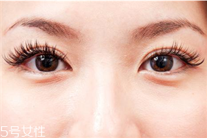 種睫毛多少錢？種睫毛的保持時間