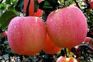 空腹吃蘋果好不好？一天最多吃幾個蘋果？