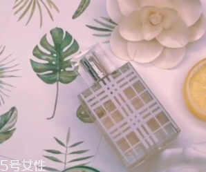女士香水什么味道好？這6款香水親切又高級