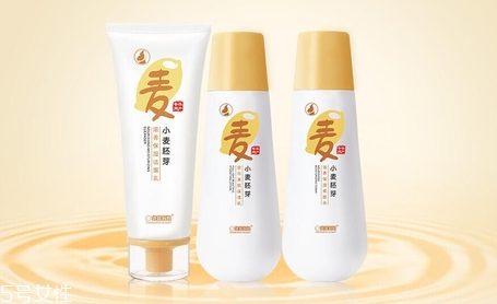 親潤和袋鼠媽媽哪個好用？孕婦專用品牌