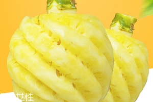 泰國(guó)迷你小菠蘿多少錢一斤？mini小菠蘿火遍泰國(guó)