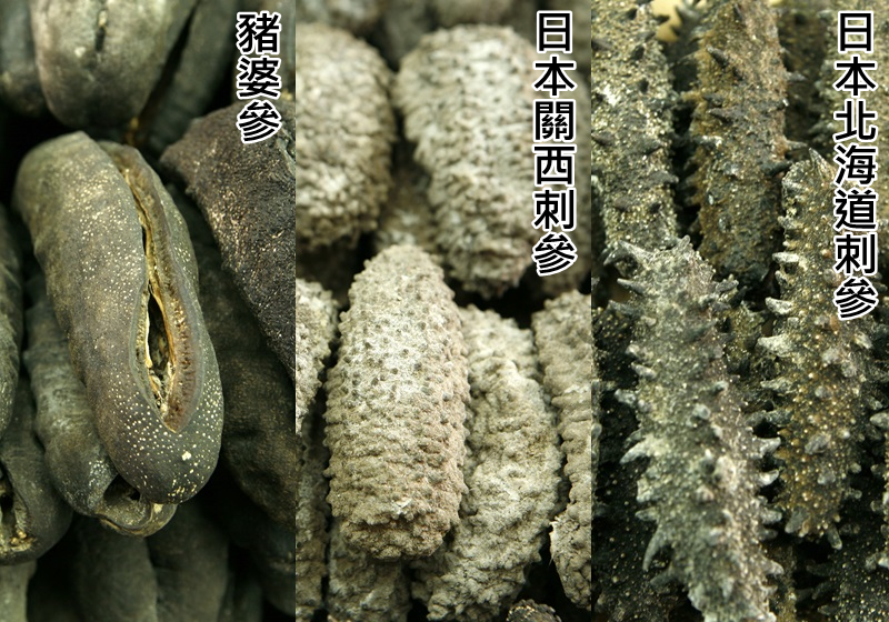 干海參怎么泡發最好最快 4步驟泡發