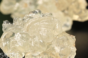 雪燕怎么清洗？雪燕怎么挑雜質
