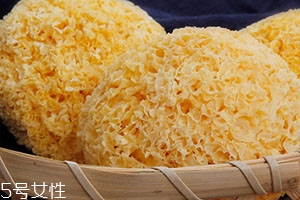 丑耳為什么煮起來不糯？丑耳怎么泡發