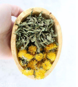 蒲公英茶哪些人不宜喝？這三種人要避開