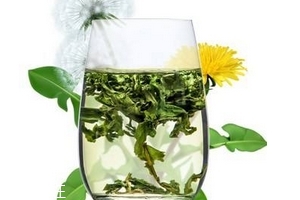 蒲公英茶哪個牌子好？大牌子值得信賴