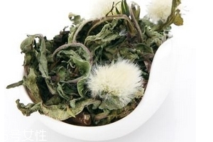 蒲公英茶怎么做？蒲公英茶做法超簡單