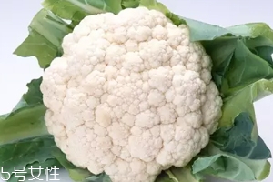 花椰菜吃的是什么部位？花苞部位最營養(yǎng)