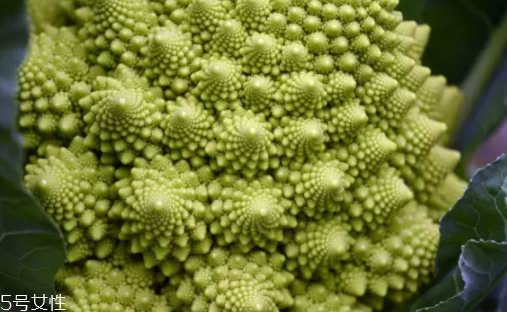 花菜在冰箱能放幾天？不要超過7天