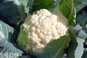 花菜怎么洗才干凈？一定要把蟲(chóng)子洗掉
