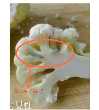 花菜怎么洗才干凈？一定要把蟲子洗掉