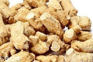 西洋參是哪里產的？長白山為主要產地