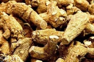 西洋參會過敏嗎？不排除這種可能