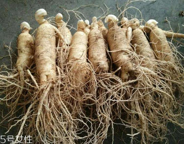 西洋參會推遲月經嗎？這個是有可能的