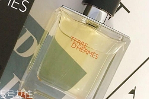 愛馬仕大地香水好聞嗎？香味濃烈卻清新
